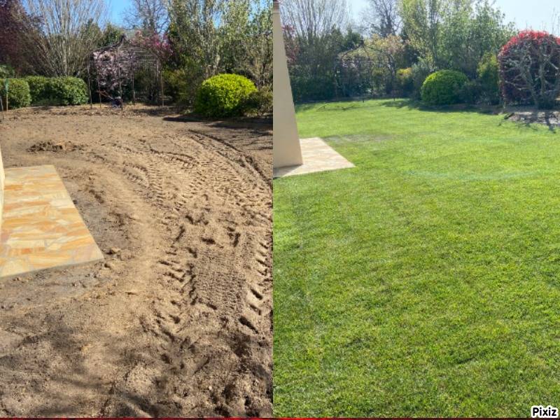 Élagage grand arbre Bouches du Rhône