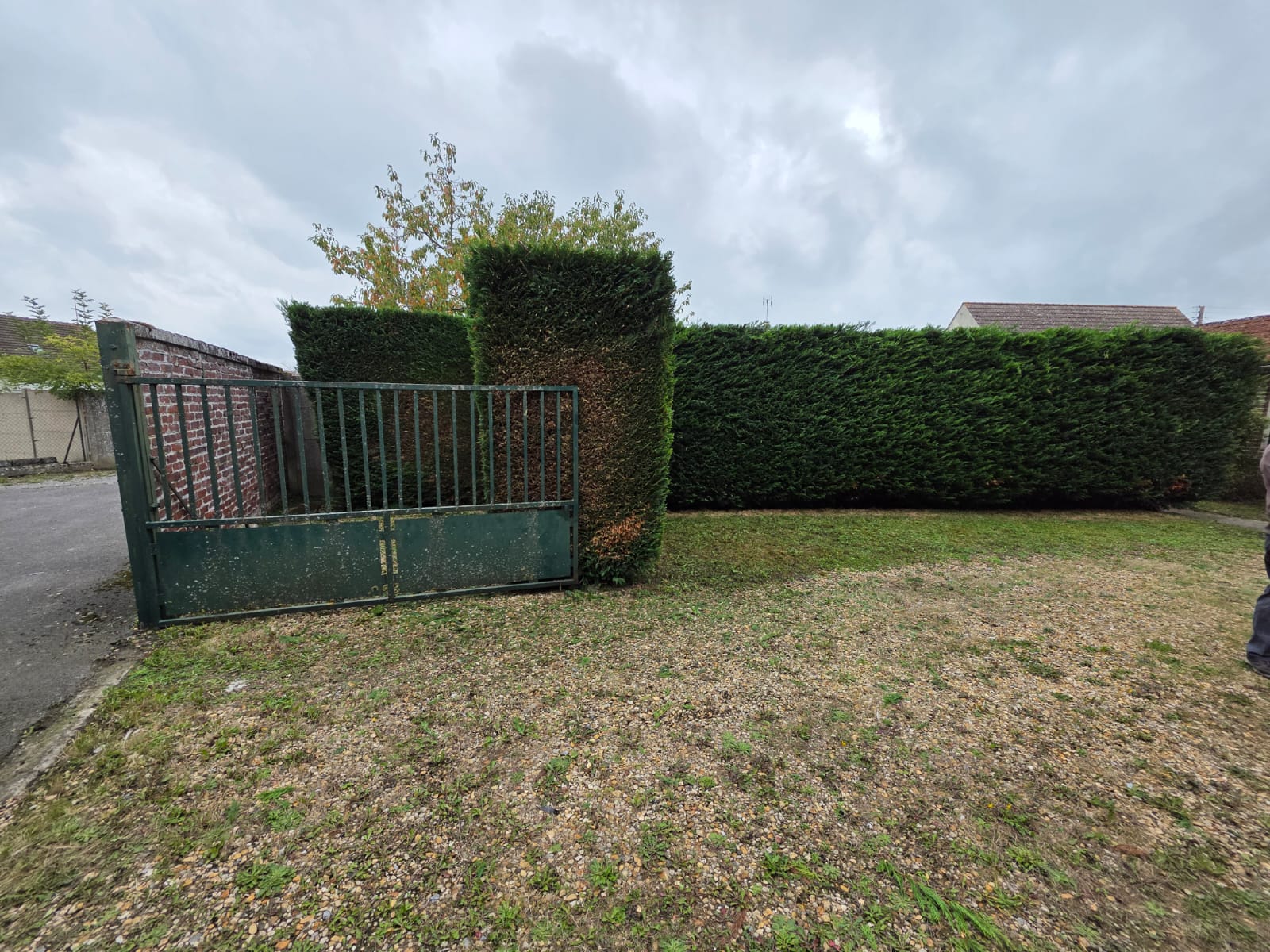 Élagage en hauteur nacelle